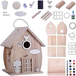 Kit de nichoir à oiseaux en bois à construire et peindre