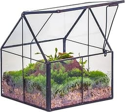 Mini terrarium géométrique NCYP