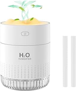 Mini Humidificateur Portable