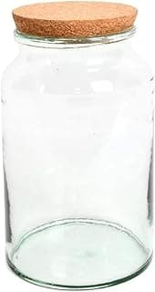 Esschert Design Bouteille de Terrarium Semi-Ouverte Moyenne