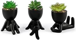 Laelfe Plantes Succulentes Artificielles