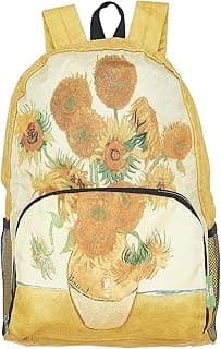 ECO CHIC Sac à dos pliable