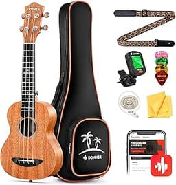 Ukulélé de concert