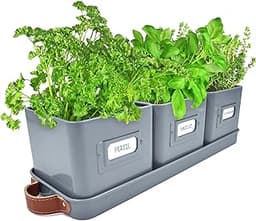 Jardinière Herbes Aromatiques Green Thumbz