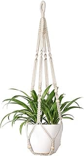 Suspension macramé plantes