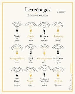 Poster Cépages et arômes