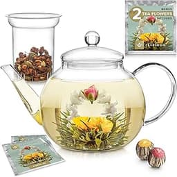 Teabloom Théière en Verre