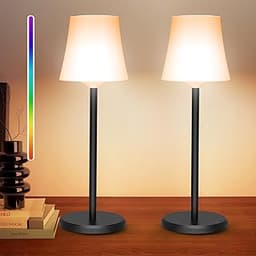 Lot de 2 lampes sans fil Ainostone