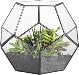 NCYP Noire Géométrique Terrarium en Forme de dodécaèdre